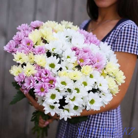 Chrysanthemum Bouquet - Roses Bouquets Flowers Flower Delivery 16 Astana - photo 2