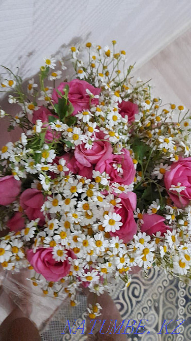 Роза раушан г?лдері сатылады  Қызылорда - изображение 3