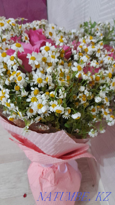 Роза раушан г?лдері сатылады  Қызылорда - изображение 2