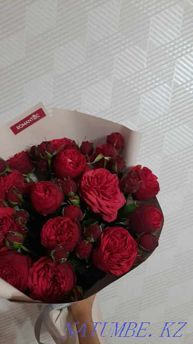 Роза раушан г?лдері сатылады  Қызылорда - изображение 4