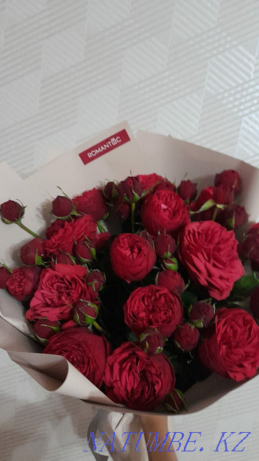 Роза раушан г?лдері сатылады  Қызылорда - изображение 1
