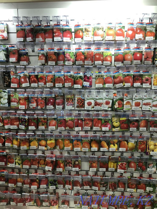 Seeds and seedlings Petropavlovsk - photo 1