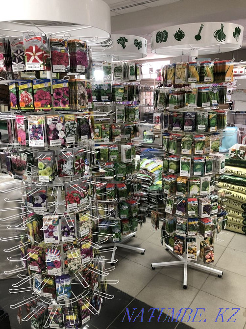 Seeds and seedlings Petropavlovsk - photo 5