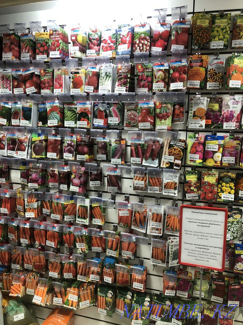 Seeds and seedlings Petropavlovsk - photo 4