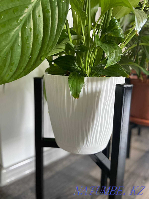 Stands for flowers Loft style! Suitable for any interior! Almaty - photo 5