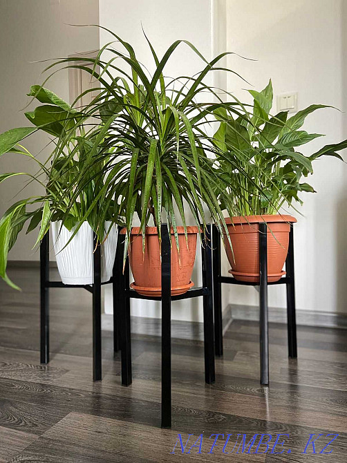 Stands for flowers Loft style! Suitable for any interior! Almaty - photo 1