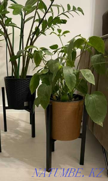 Stands for flowers Loft style! Suitable for any interior! Almaty - photo 2