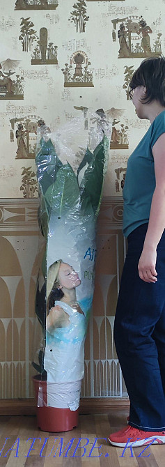 Әйел бақыты Сезім дәрежесі  Алматы - изображение 7