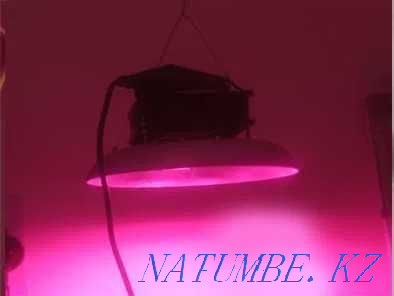 ФИТО-Жарықтандыру фито-лампалары (фито-шамдар) және аспалы фито-шамдар  Алматы - изображение 2