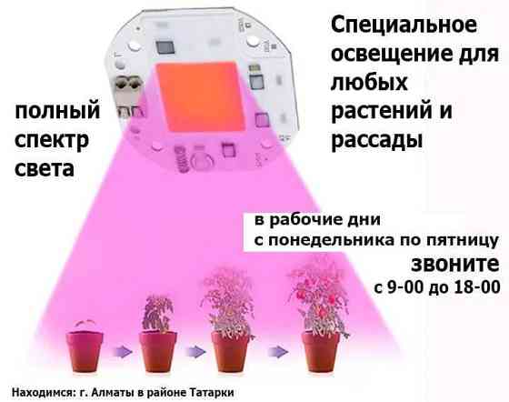 фито-лампы свето-диоды освещение в теплицы и для комнатных растений Almaty