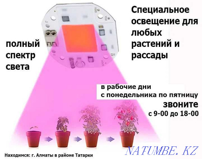 phyto-lamps light diodes lighting in greenhouses and for indoor plants Almaty - photo 1