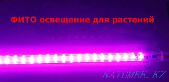 linear PHYTO-LAMP for shelves and racks for PLANTS and SEEDLINGS Almaty - photo 1