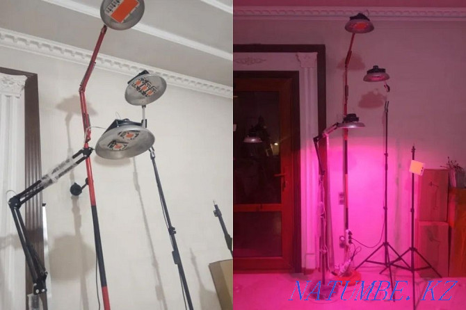 биік жабық өсімдіктер үшін PHYTO-LAMP толық спектрі 150 Вт және стенд  Алматы - изображение 1