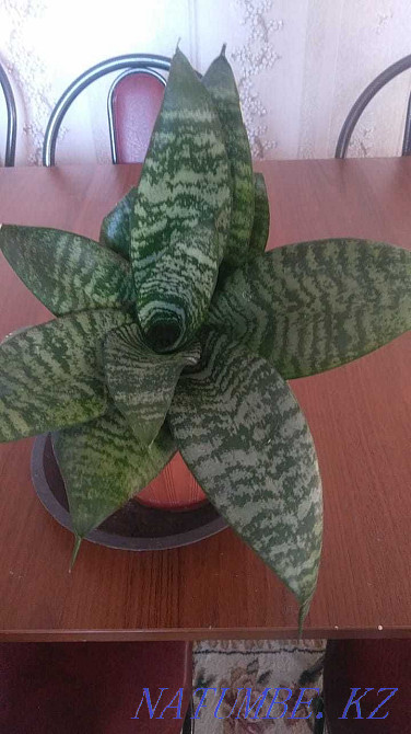 РЭО разных размеров Актобе - изображение 2