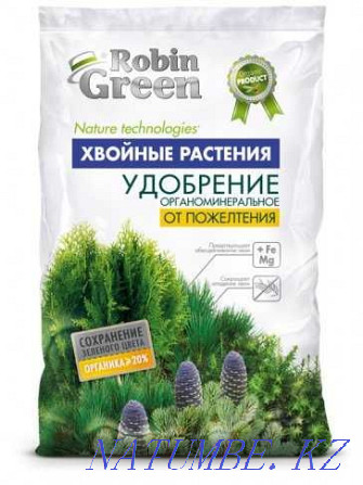 Purshat - a miracle remedy for yellowing and sunburn of conifers Atyrau - photo 2