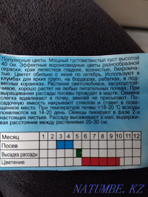 Петуньяларды сату. Қоспа  Петропавл - изображение 3