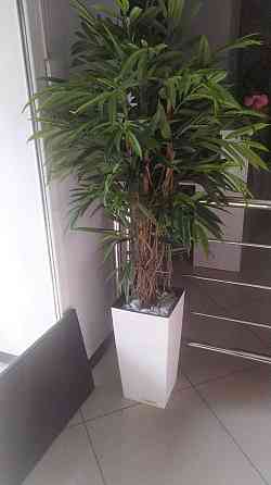 Продам декоративные деревья для дома и офисов Almaty