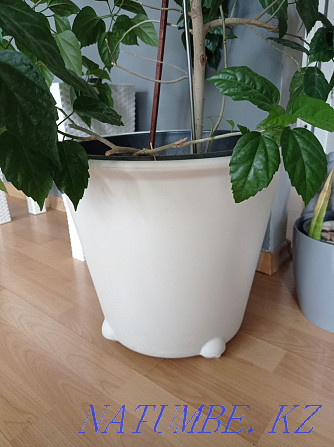 White flower pot for home, garden Planter Ikea IKEA Almaty - photo 2