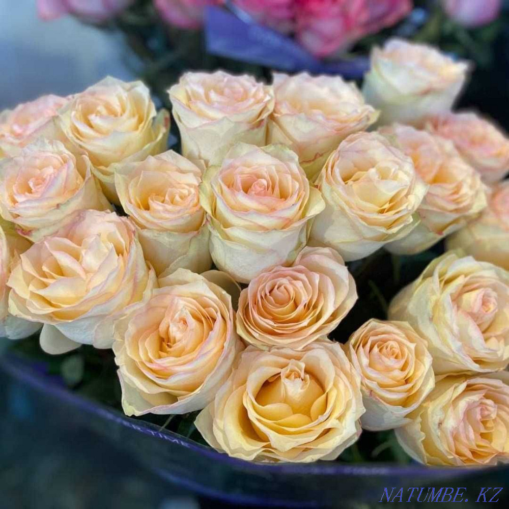 Flower delivery : Roses : Bouquets : Tulips : Boxes of Roses : Irises №89 Astana - photo 6