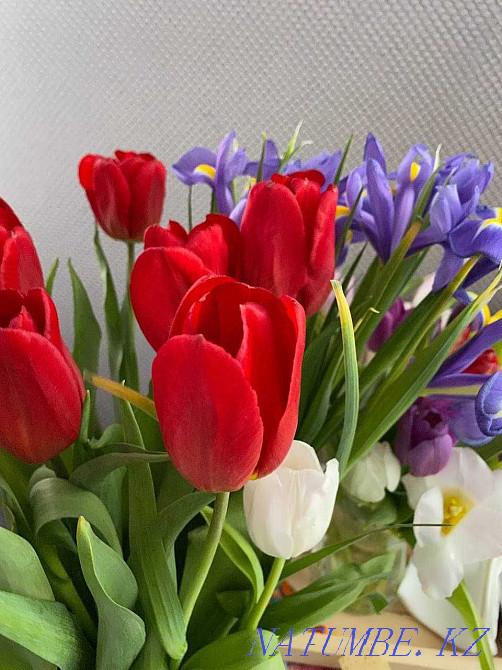 Flower delivery : Roses : Bouquets : Tulips : Boxes of Roses : Irises №89 Astana - photo 7