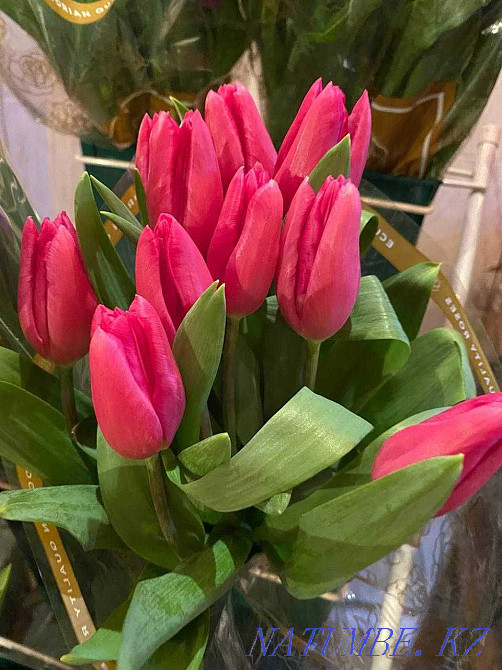 Flower delivery : Roses : Bouquets : Tulips : Boxes of Roses : Irises №89 Astana - photo 4