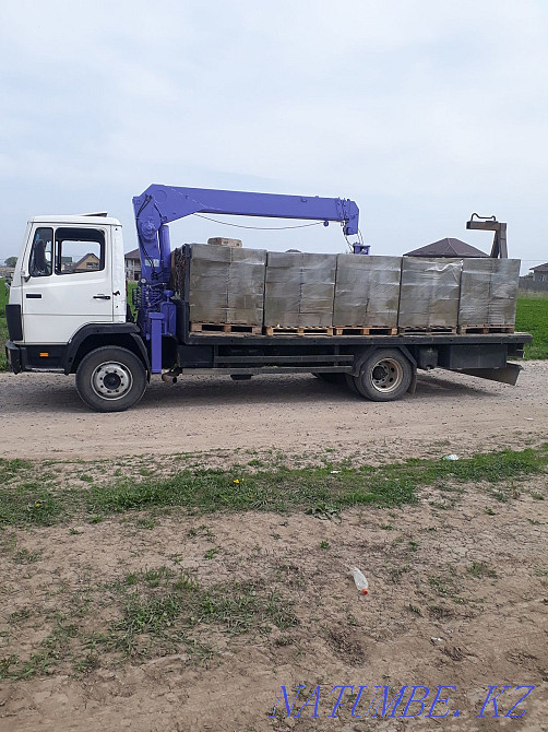 Манипулятор Комнатные цветы алоэ Каскелен - изображение 1