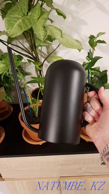Гүлдер мен өсімдіктерді суаруға арналған ыдыс  Алматы - изображение 2