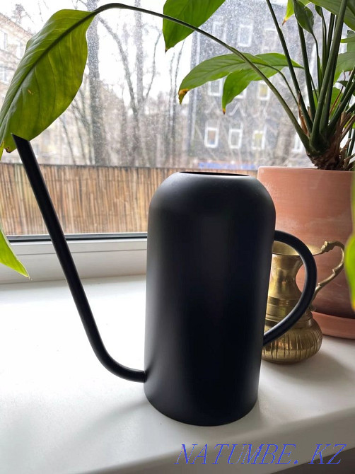 Гүлдер мен өсімдіктерді суаруға арналған ыдыс  Алматы - изображение 1