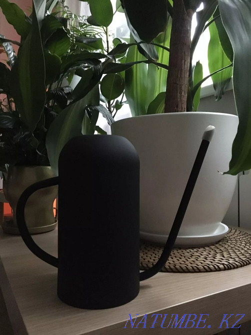 Гүлдер мен өсімдіктерді суаруға арналған ыдыс  Алматы - изображение 4