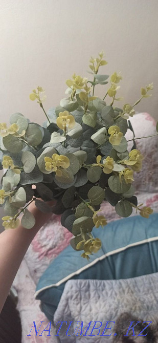 Flowers artificial eucalyptus Almaty - photo 1