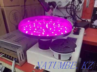 PHYTO-LAMPS for indoor plants (full spectrum of light) bulb 15 W Almaty - photo 2