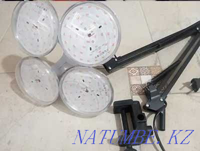 PHYTO-LAMPS for indoor plants (full spectrum of light) bulb 15 W Almaty - photo 1