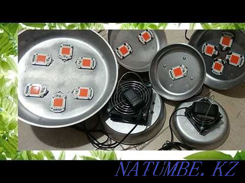 Кез келген жағдайда өсімдіктер мен көшеттерді өсіруге арналған ФИТО-ЛАМП  Алматы - изображение 1