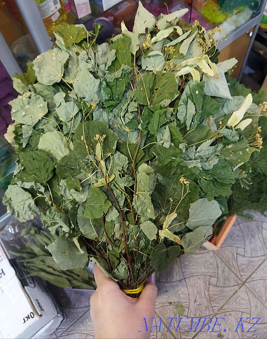 Липовые веники для бани. Веники для бани из липы. Аксай - изображение 1