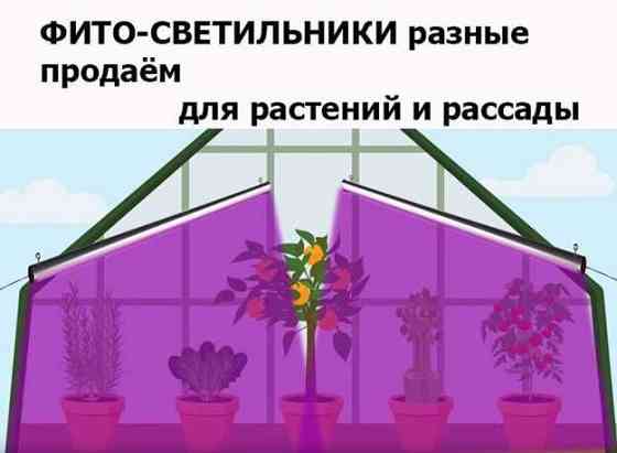 для комнатных растений и рассады или в теплицы ФИТО-ЛАМПЫ светильники  Алматы