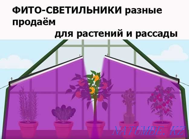 for indoor plants and seedlings or in greenhouses PHYTO-LAMPS lamps Almaty - photo 1