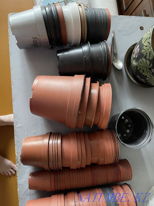 Wholesale plant pots, all at once Karagandy - photo 5