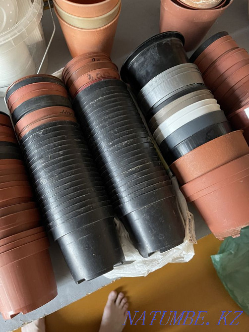 Wholesale plant pots, all at once Karagandy - photo 4