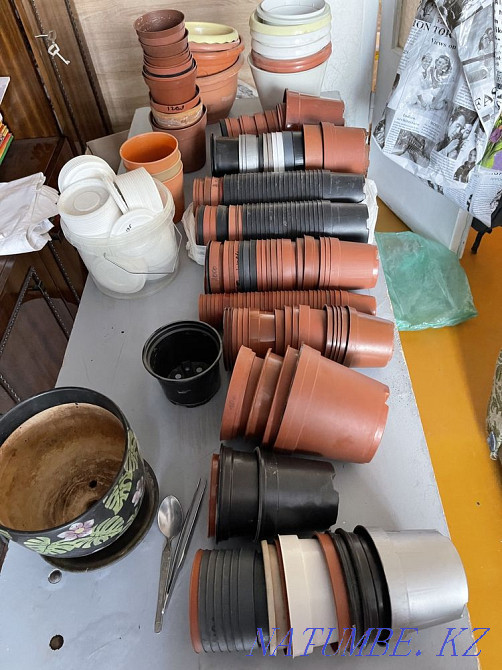 Wholesale plant pots, all at once Karagandy - photo 2