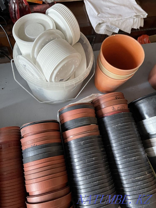 Wholesale plant pots, all at once Karagandy - photo 3