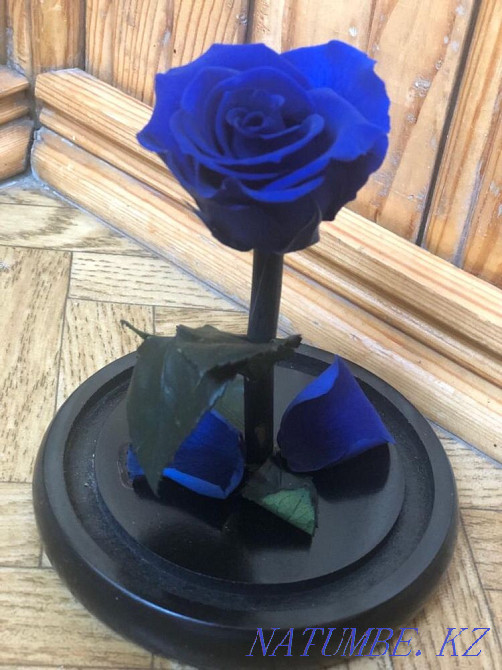 Продам красивый цветок Алматы - изображение 4