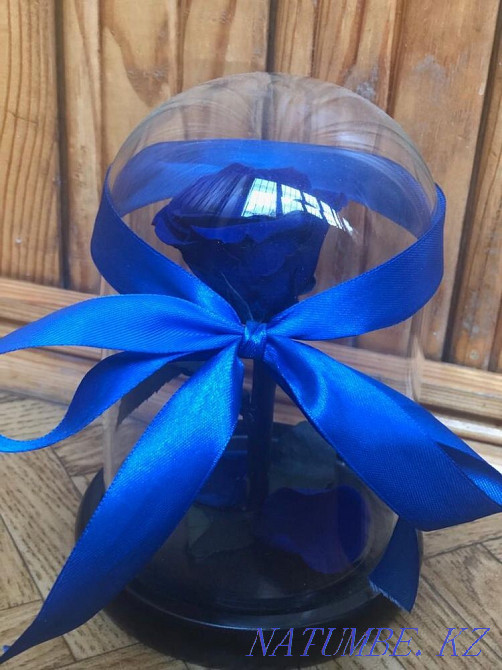 Продам красивый цветок Алматы - изображение 5