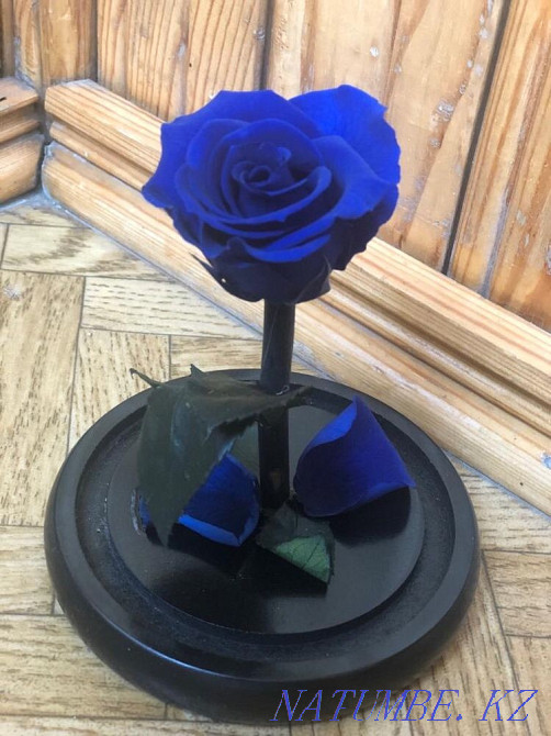 Продам красивый цветок Алматы - изображение 2