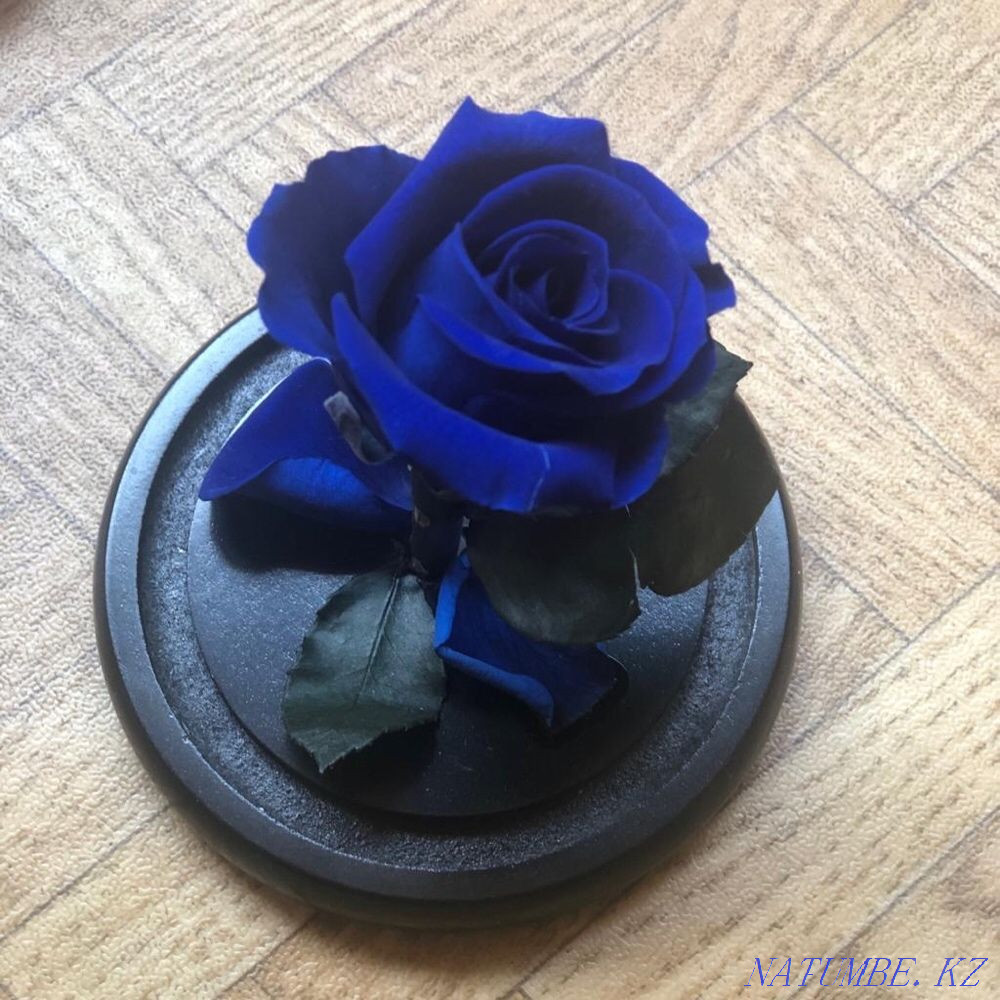 Продам красивый цветок Алматы - изображение 1