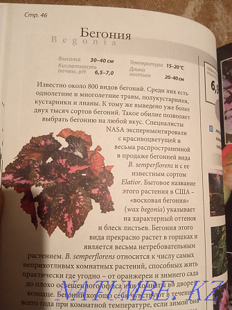 The book is all about indoor plants that purify the air Semey - photo 7