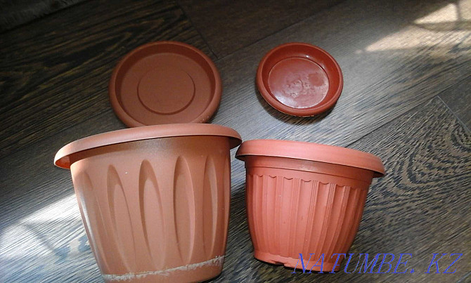 Мен гүлдерге арналған ваза сатамын (пластик)  Өскемен - изображение 4