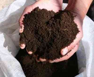 Биогумус ( удобрение) для рассады, картоф.,цветов и любых др. растений  Өскемен