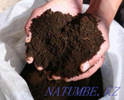 Biohumus (fertilizer) for seedlings, potatoes, flowers and any other plants Ust-Kamenogorsk - photo 1