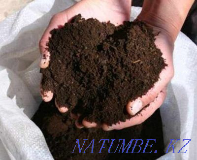 Biohumus (fertilizer) for seedlings, potatoes, flowers and any other plants Ust-Kamenogorsk - photo 1
