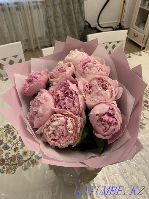 Цветы пионы Каменка - изображение 2
